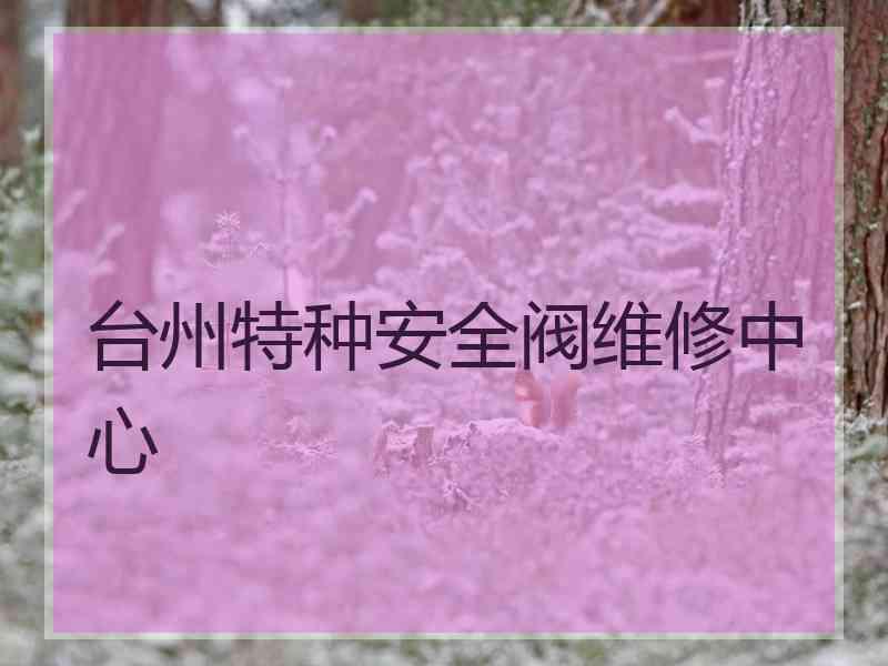 台州特种安全阀维修中心