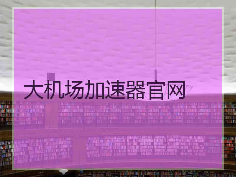 大机场加速器官网