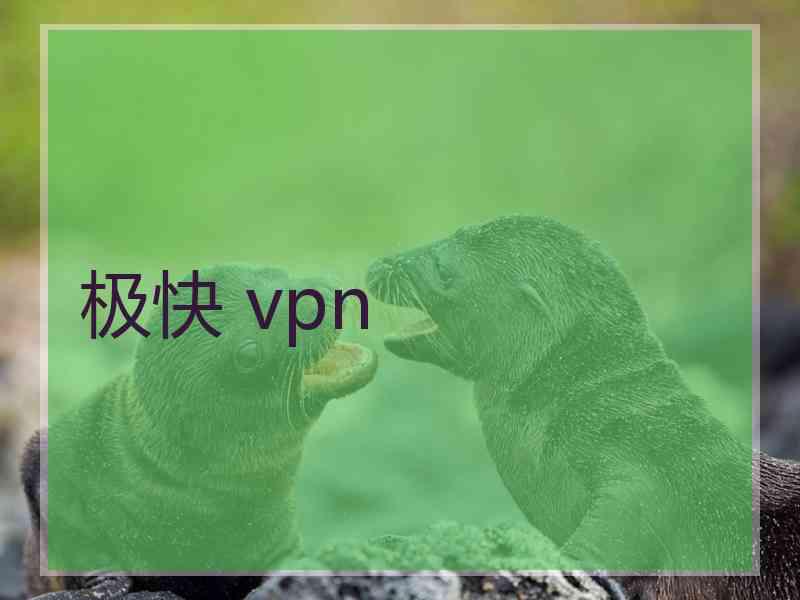 极快 vpn