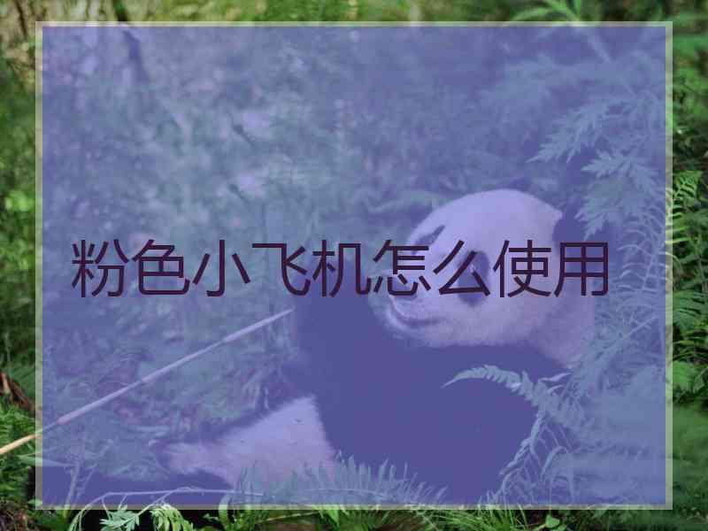 粉色小飞机怎么使用