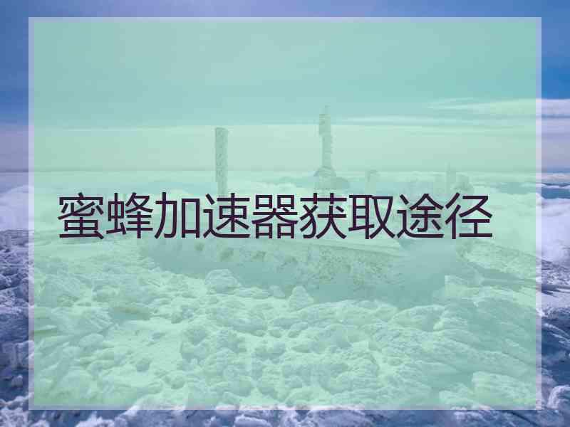 蜜蜂加速器获取途径