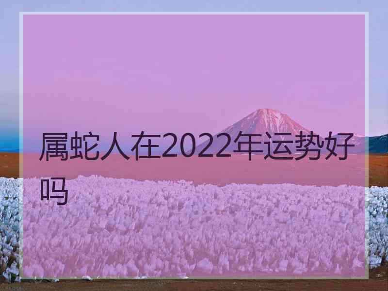 属蛇人在2022年运势好吗