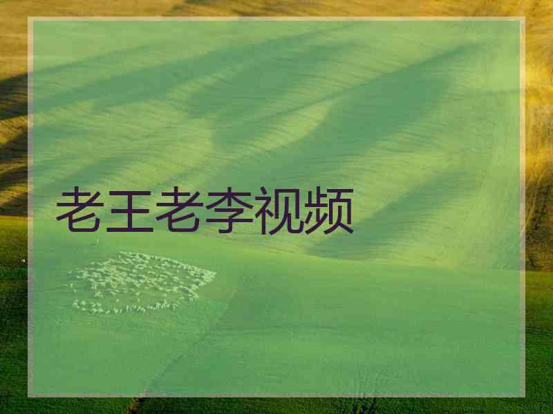 老王老李视频