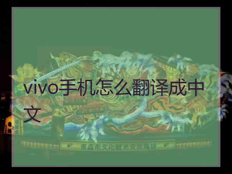 vivo手机怎么翻译成中文