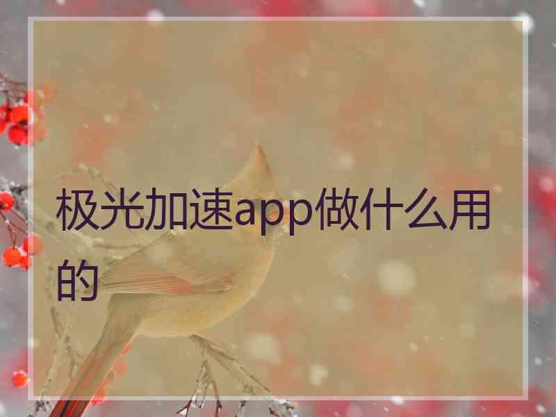 极光加速app做什么用的
