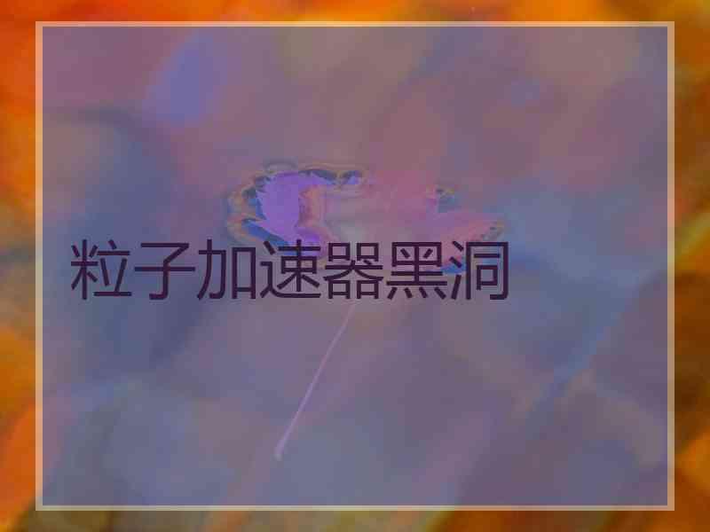 粒子加速器黑洞