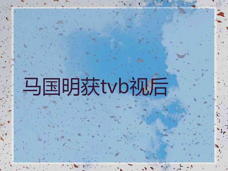 马国明获tvb视后