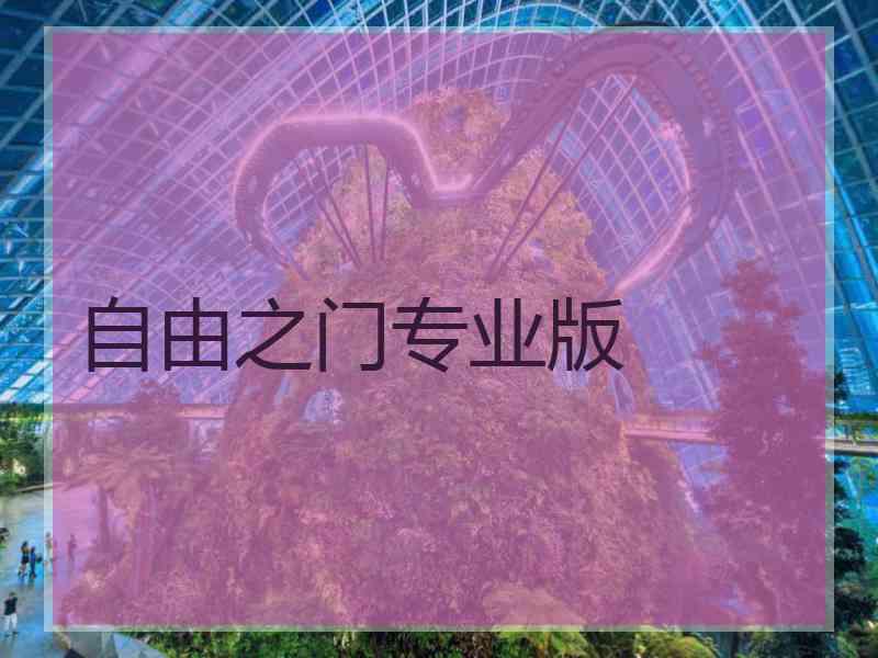 自由之门专业版