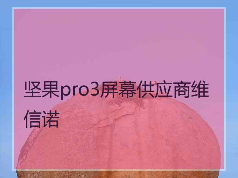 坚果pro3屏幕供应商维信诺