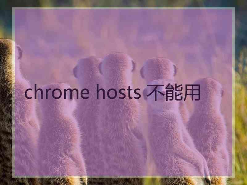 chrome hosts 不能用