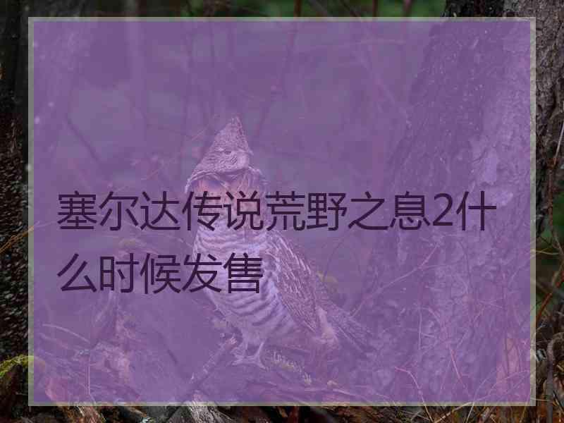 塞尔达传说荒野之息2什么时候发售