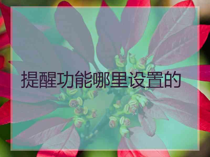 提醒功能哪里设置的