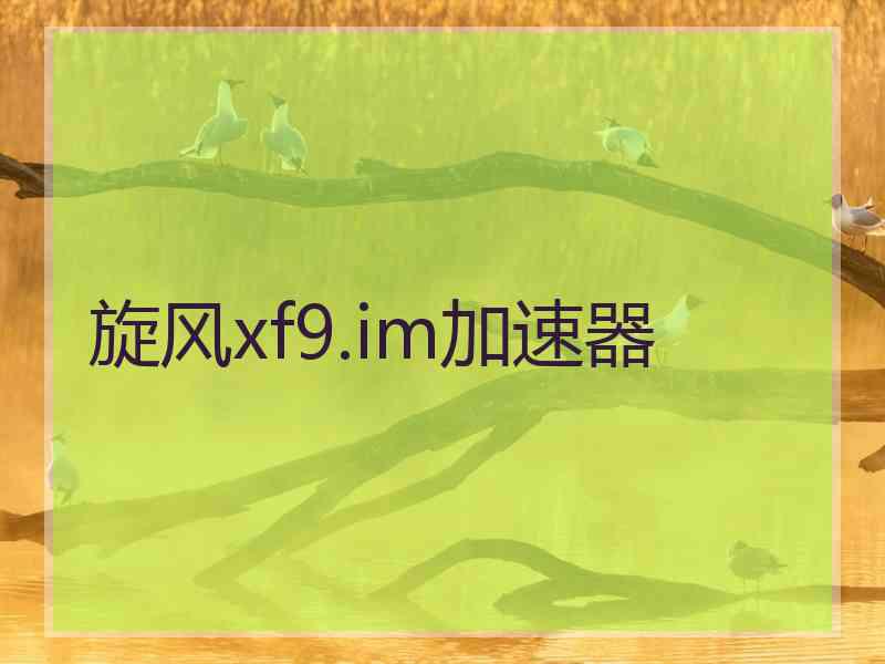 旋风xf9.im加速器