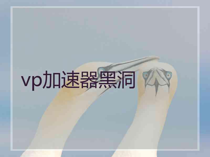 vp加速器黑洞