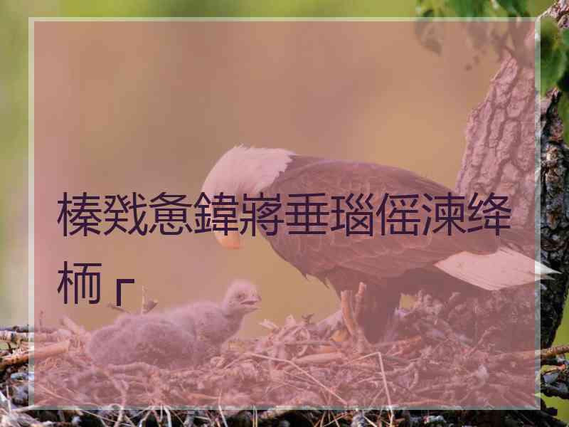 榛戣惫鍏嶈垂瑙傜湅绛栭┌