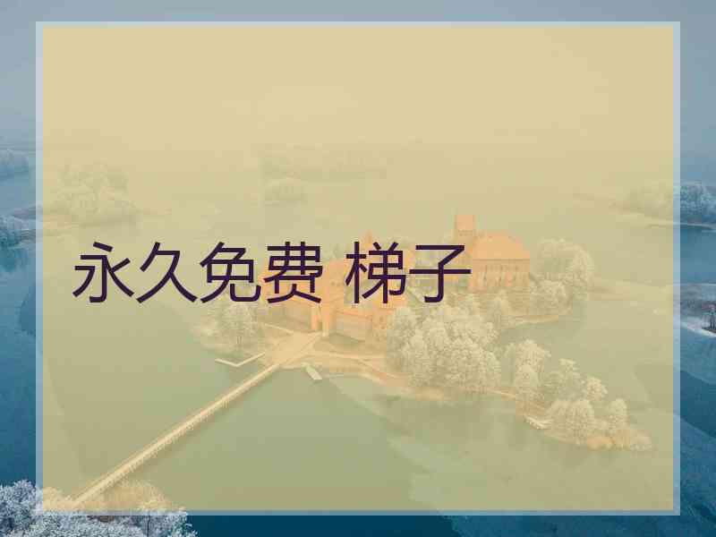 永久免费 梯子