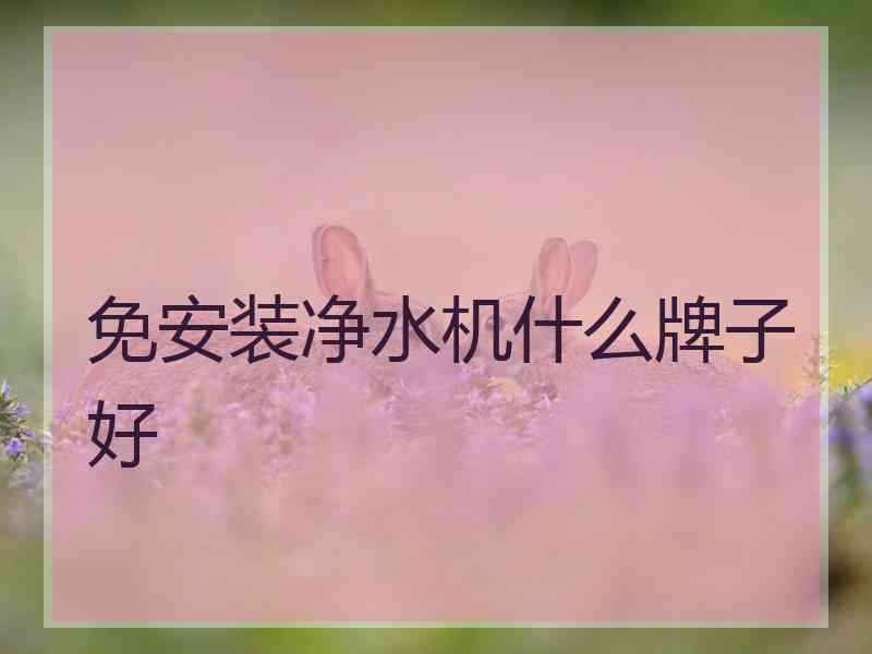 免安装净水机什么牌子好