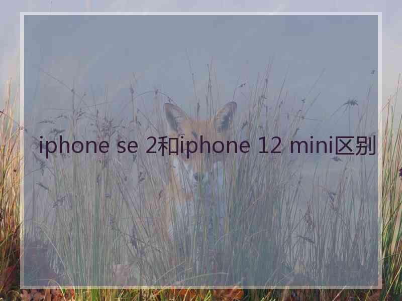 iphone se 2和iphone 12 mini区别