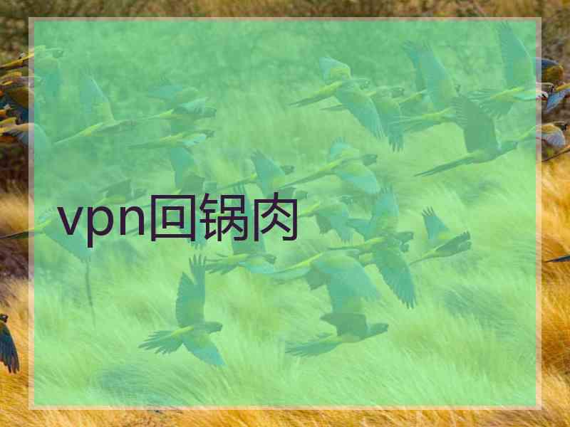 vpn回锅肉