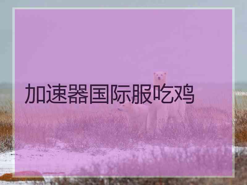 加速器国际服吃鸡