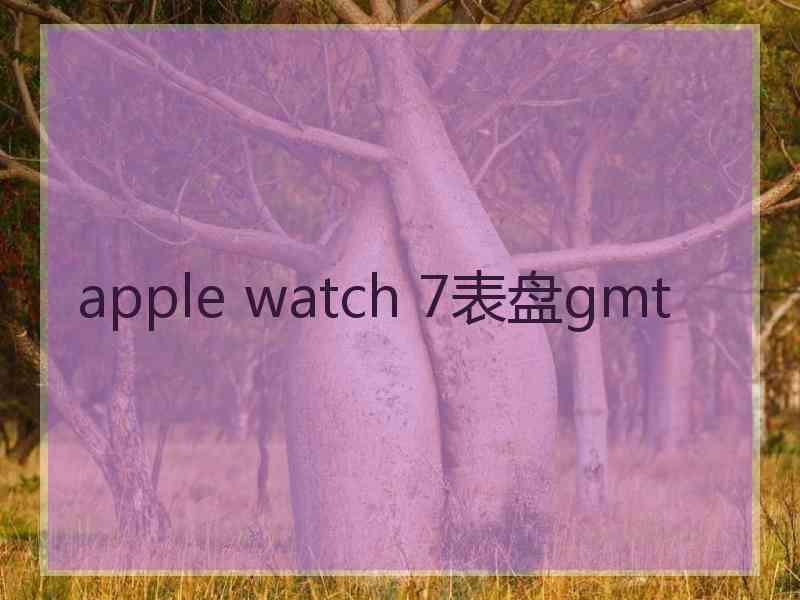 apple watch 7表盘gmt