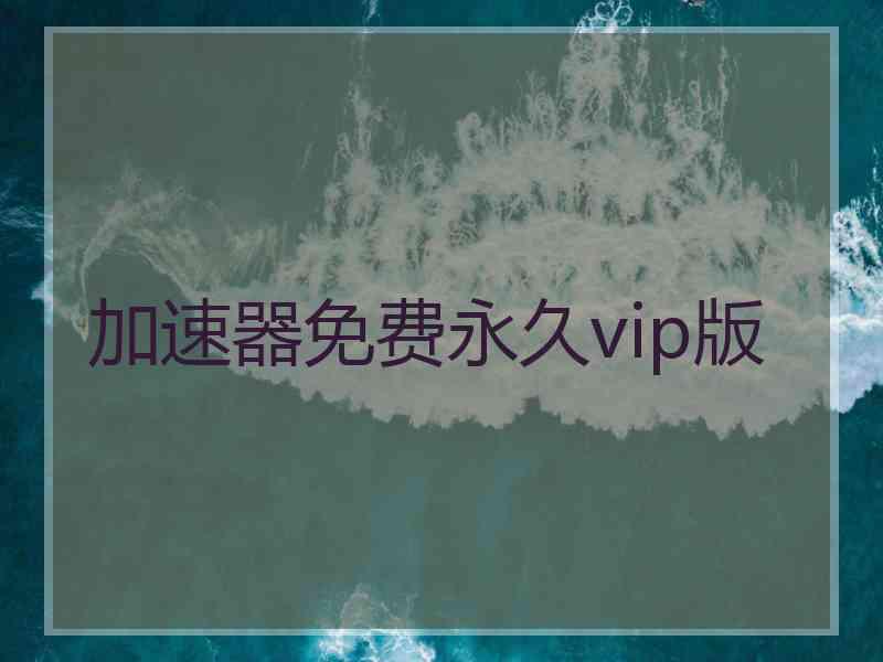 加速器免费永久vip版