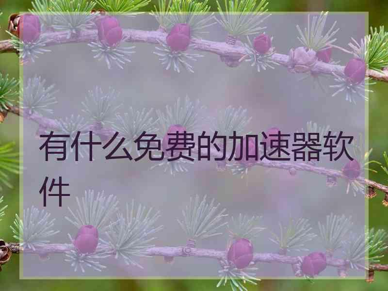 有什么免费的加速器软件