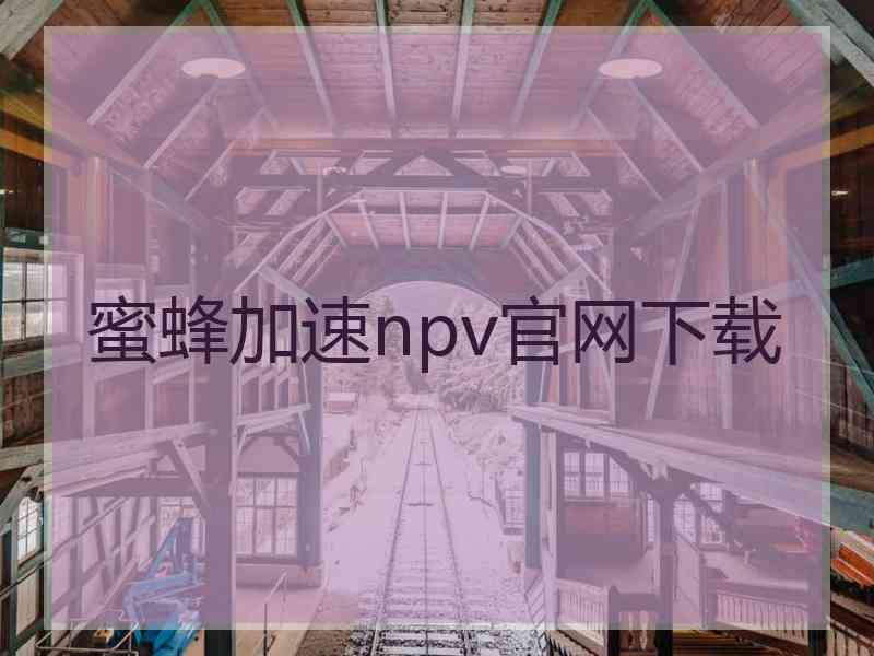 蜜蜂加速npv官网下载