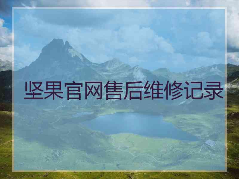 坚果官网售后维修记录