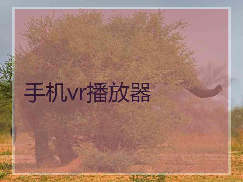 手机vr播放器