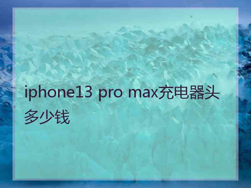 iphone13 pro max充电器头多少钱