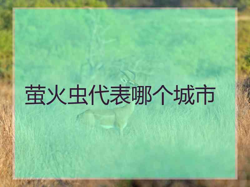 萤火虫代表哪个城市
