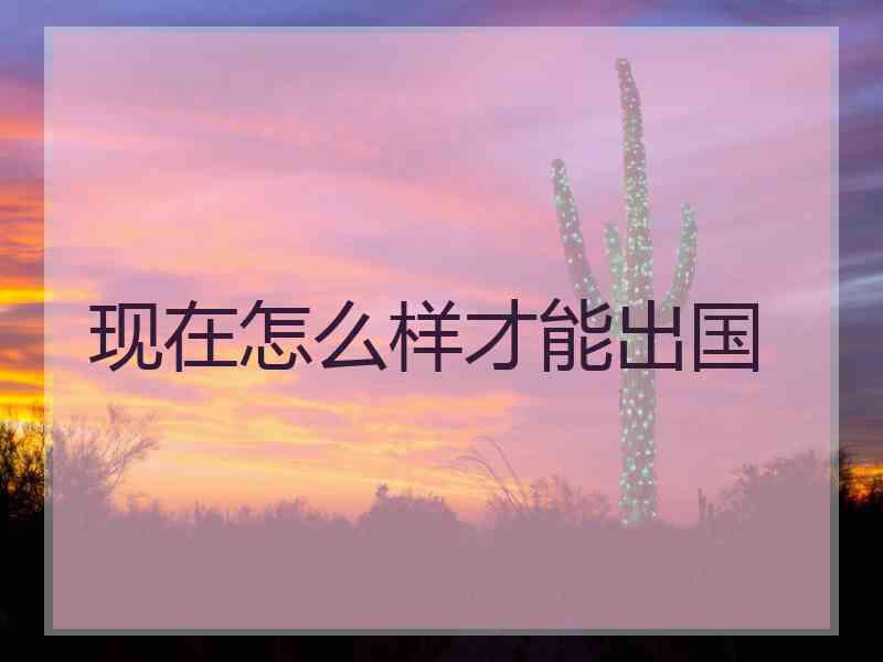 现在怎么样才能出国