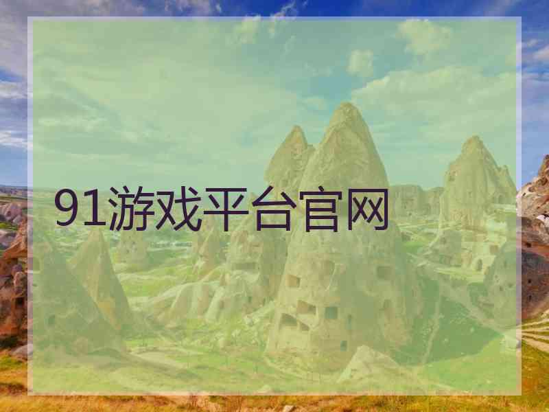 91游戏平台官网