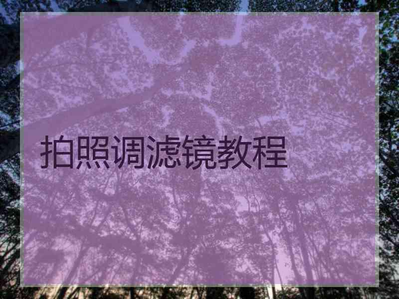 拍照调滤镜教程