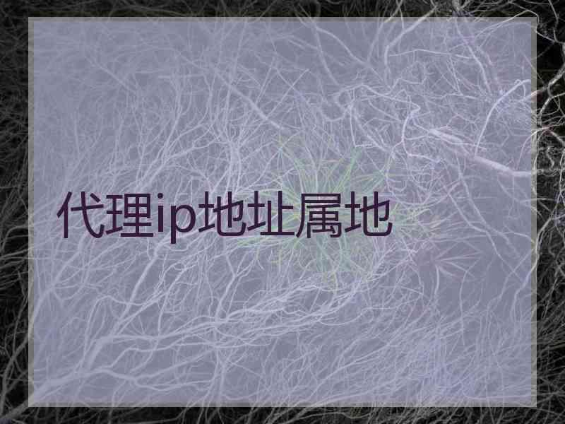 代理ip地址属地
