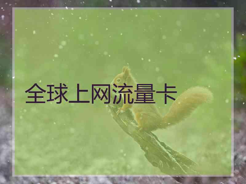 全球上网流量卡