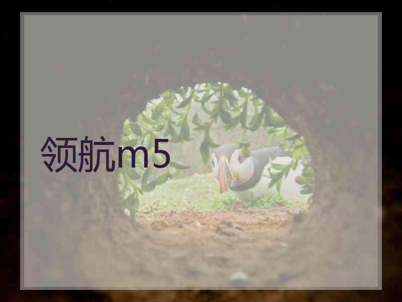 领航m5