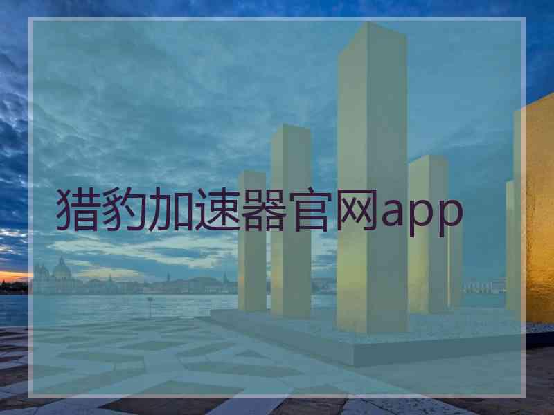 猎豹加速器官网app