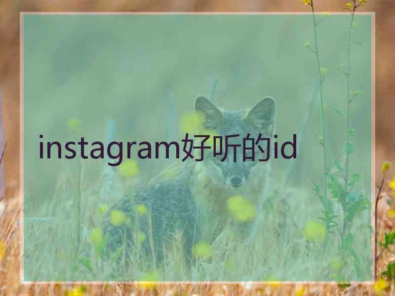 instagram好听的id