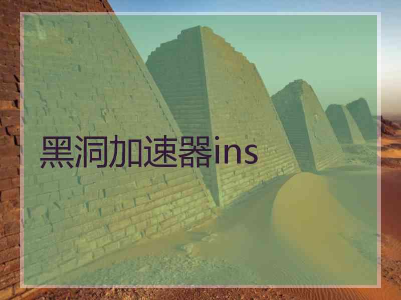 黑洞加速器ins