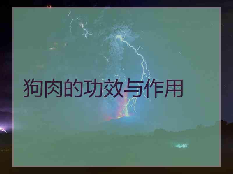 狗肉的功效与作用