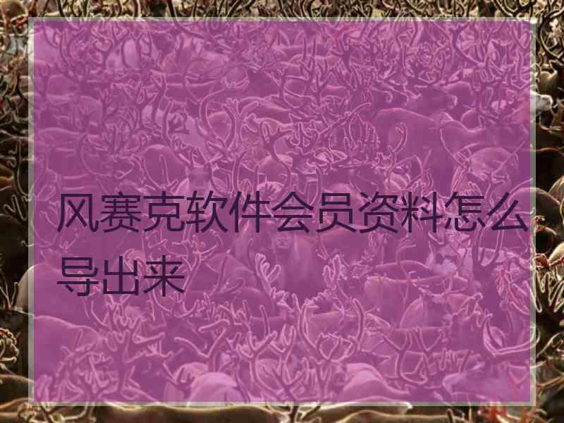 风赛克软件会员资料怎么导出来