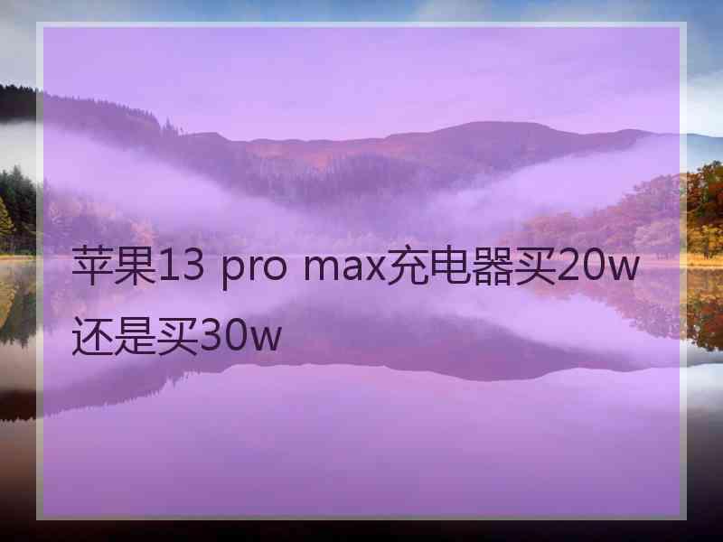 苹果13 pro max充电器买20w还是买30w