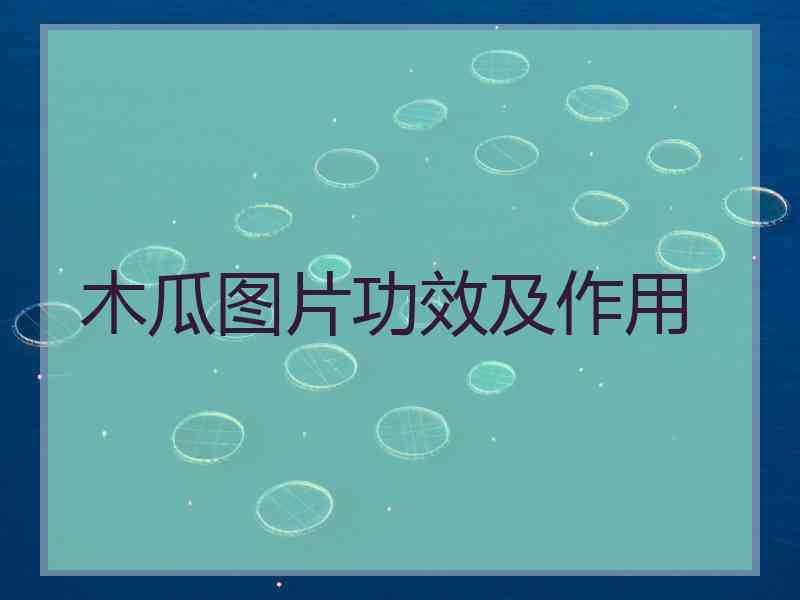 木瓜图片功效及作用