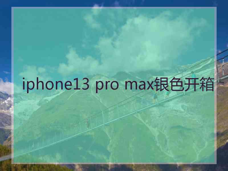 iphone13 pro max银色开箱