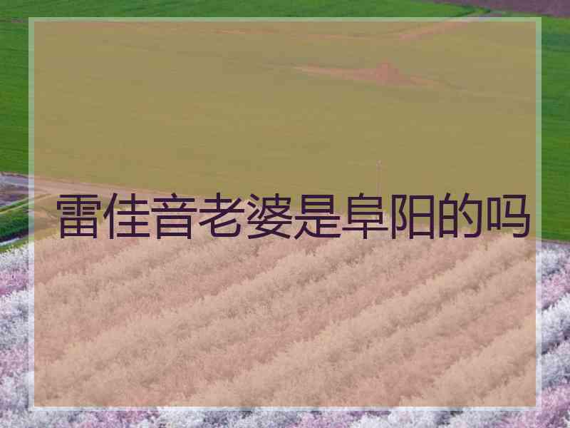 雷佳音老婆是阜阳的吗