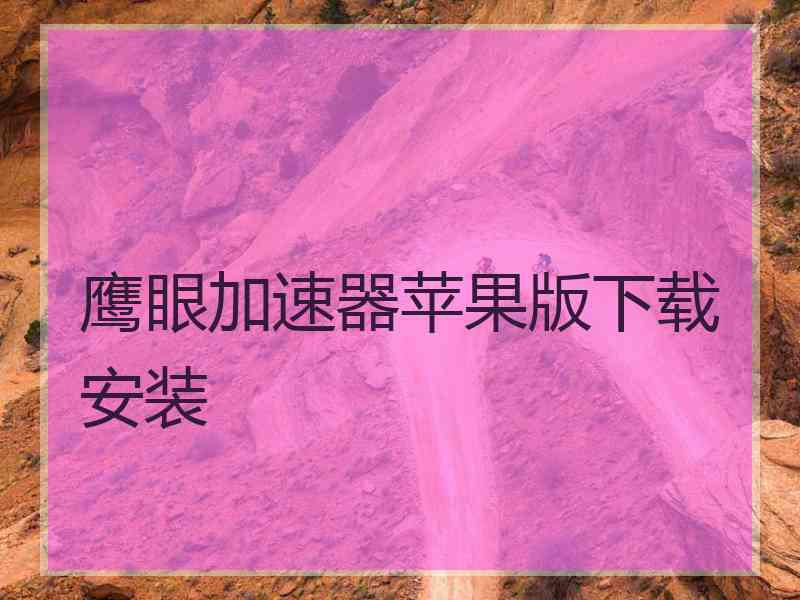 鹰眼加速器苹果版下载安装