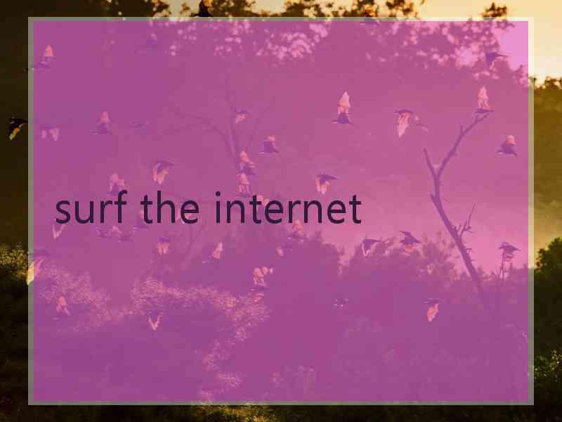 surf the internet