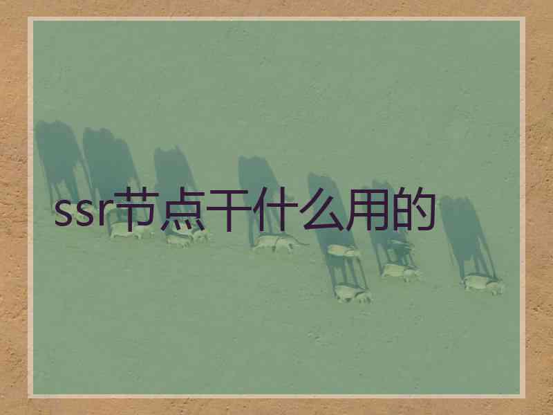 ssr节点干什么用的